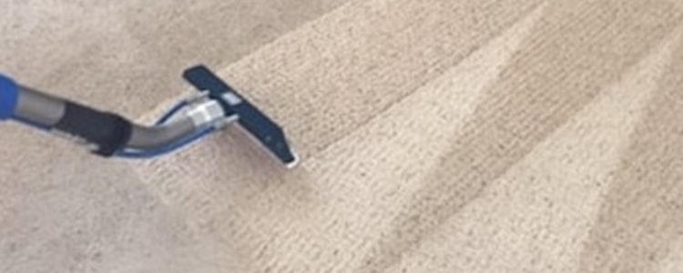 Expert Carpet Cleaning Service